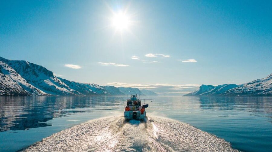 From Alta: Adventure Cruise in Alta Fjord - Cruising Alta Fjord by small boat