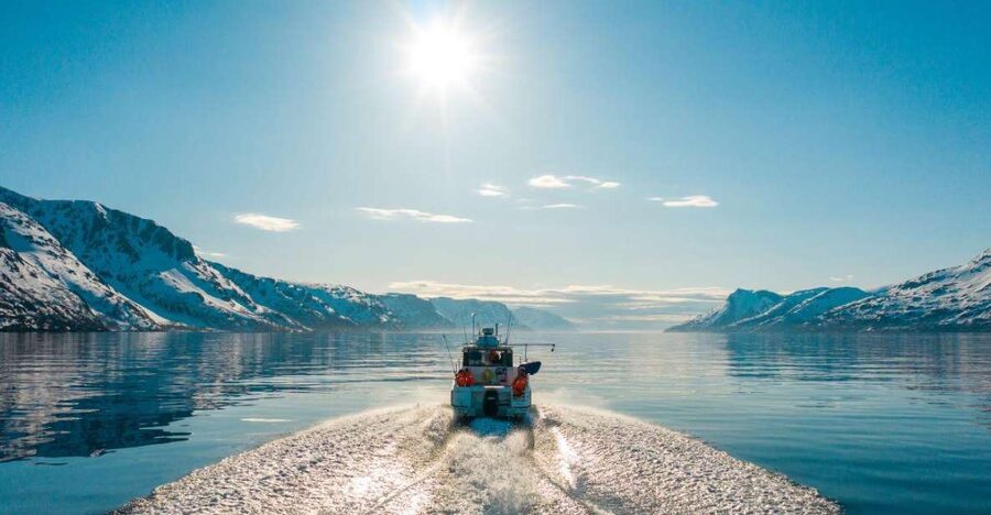 From Alta: Adventure Cruise in Alta Fjord - Watching birds along the fjord