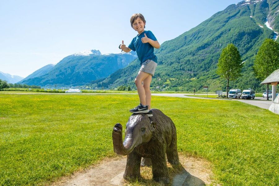 From Balestrand: Guided Fjord & Glacier Tour to Fjærland - The 14:35 stop at Bøyabreen