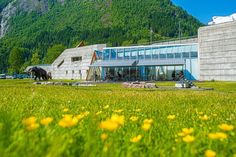 From Balestrand: Guided Fjord & Glacier Tour to Fjærland - Who will enjoy this half-day outing
