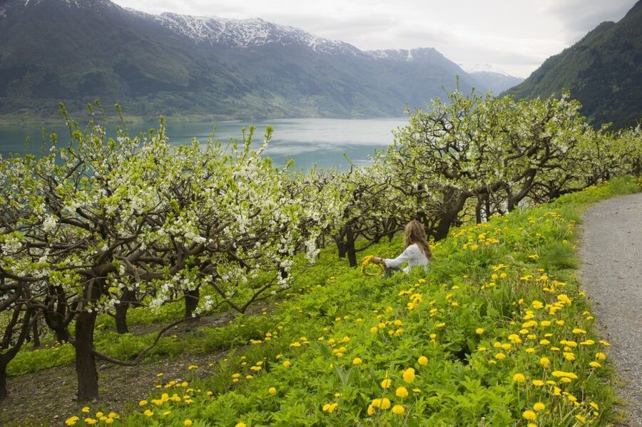 From Bergen: Private Trip to Hardangerfjord - Leaving Bergen on scenic Highway 7