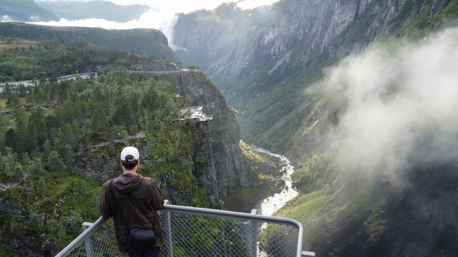 From Eidfjord: Vøringfossen Waterfall Nature Tour with Guide - Hardangervidda gives the tour its wider setting