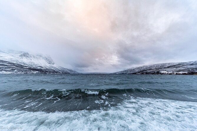 From Kiruna: Narvik City and Fjord Day Trip - From Kiruna toward Abisko and Lake Torneträsk