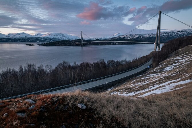 From Kiruna: Narvik City and Fjord Day Trip - Arriving in Narvik and reaching the fjord