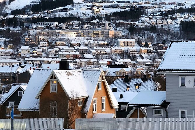 From Kiruna: Narvik City and Fjord Day Trip - Why the guide matters so much