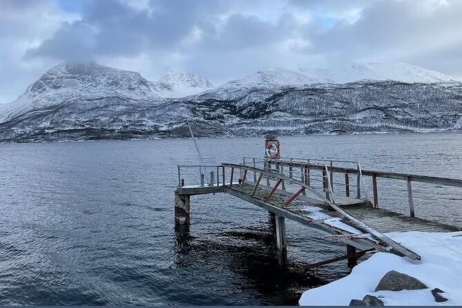 From Kiruna: Narvik City and Fjord Day Trip - Final verdict: book it for the route, not just the destination