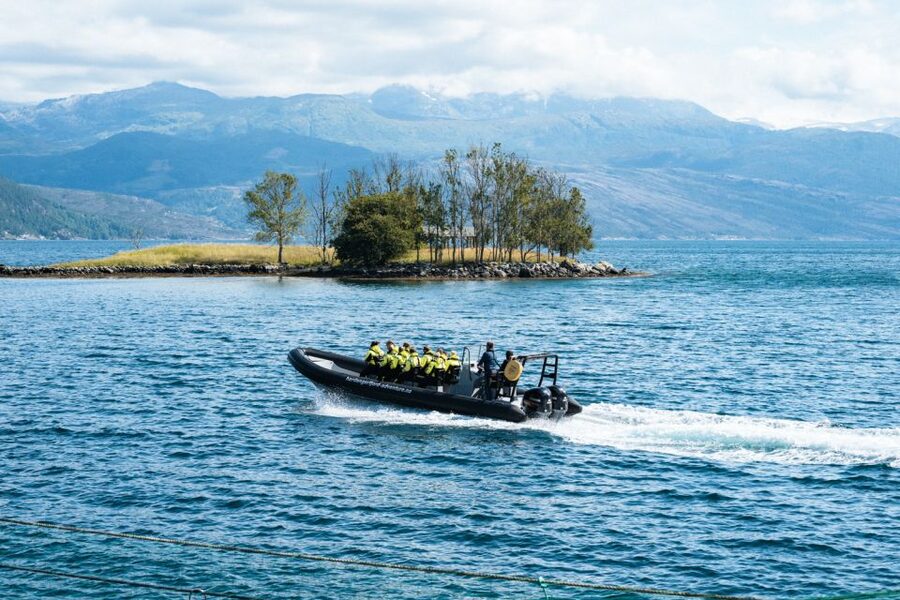 From Norheimsund: Hardangerfjord & Fyksesund RIB Fjord Tour - Is the $107 price fair?