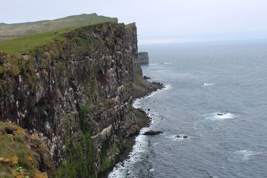 From Reykjavík: 3-Day Tour of the Wild Westfjords - Should you book it?