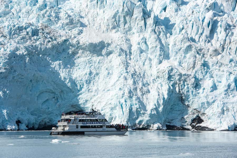 From Seward: Kenai Fjords National Park Cruise with Lunch - Why the long Seward cruise earns its price