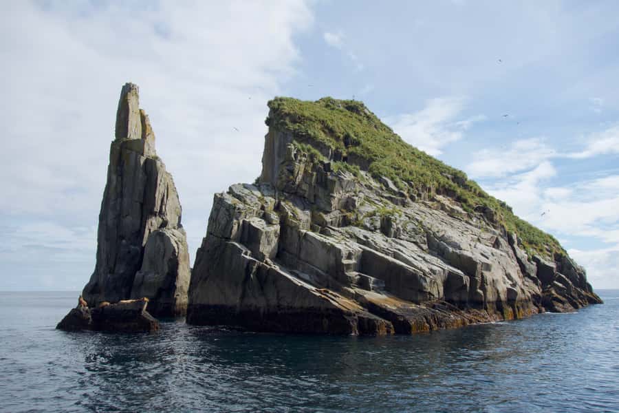 From Seward: Kenai Fjords National Park Cruise with Lunch - Leaving Resurrection Bay for Kenai Fjords