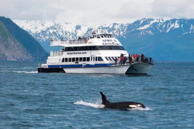 Kenai Fjords National Park Cruise with Lunch