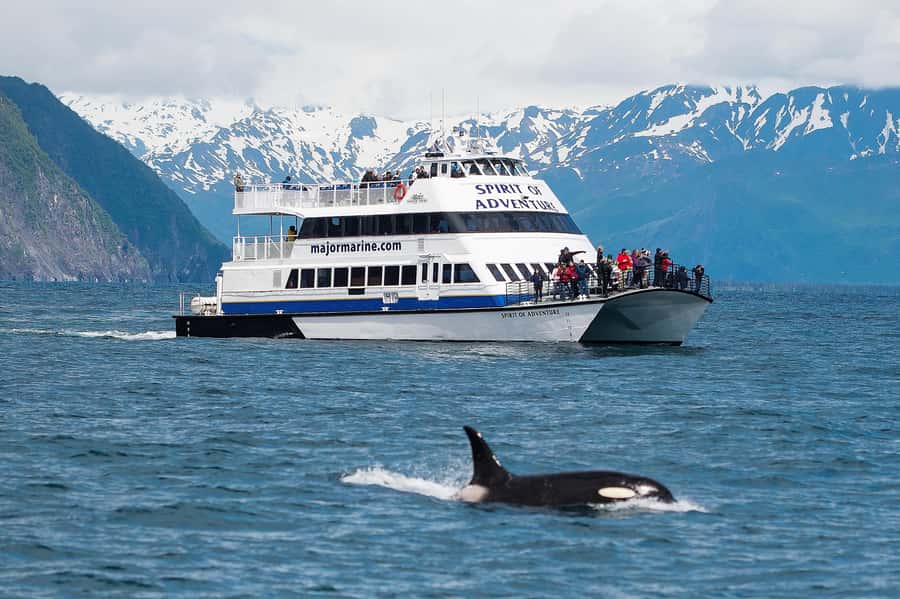 From Seward: Kenai Fjords National Park Cruise with Lunch - Checking in at Harbor 360 Hotel