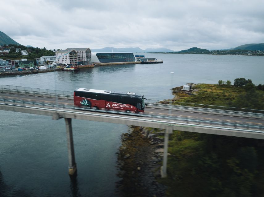 From Svolvær: Hurtigruten Cruise into Trollfjord - The 7:35 Arctic Route departure from Svolvær