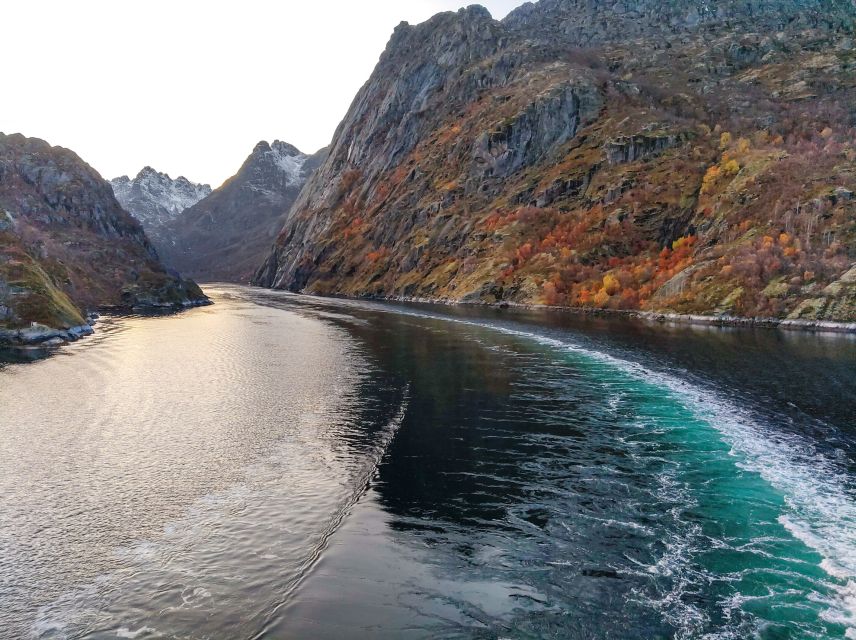 From Svolvær: Lofoten Islands Silent Trollfjord Cruise - Key points at a glance