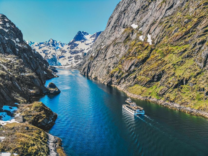 From Svolvær: Lofoten Islands Silent Trollfjord Cruise - Oddvaer, Reknesbukta, and the search for eagles