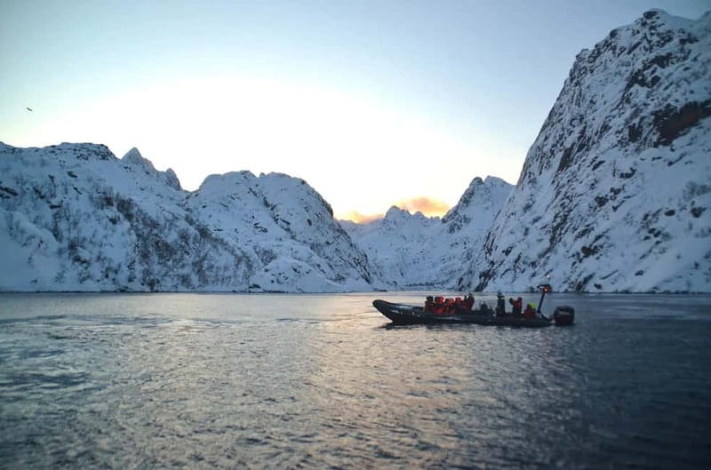From Svolvær: Lofoten RIB Sea Eagle Safari Trollfjord Cruise - Who will enjoy this most