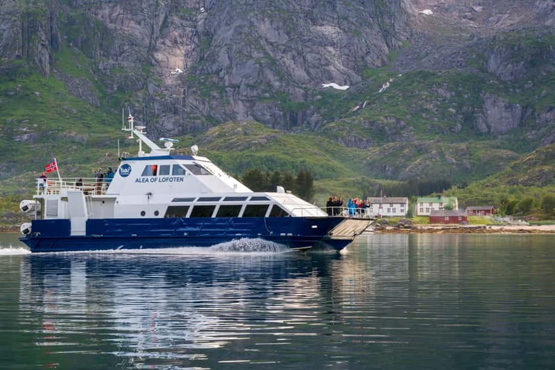 From Svolvær: Lofoten Trollfjord Cruise & Sea Eagle Safari - Sea eagles and the fish-feeding moment