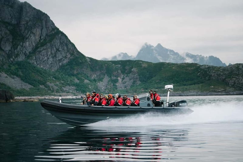 From Svolvær: RIB Boat Lofoten Trollfjord Sea Eagle Safari - Quick points before you book