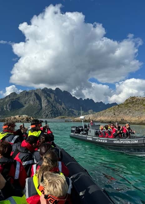 From Svolvær: RIB Boat Lofoten Trollfjord Sea Eagle Safari - Local stories, Viking sites, and the guide’s role