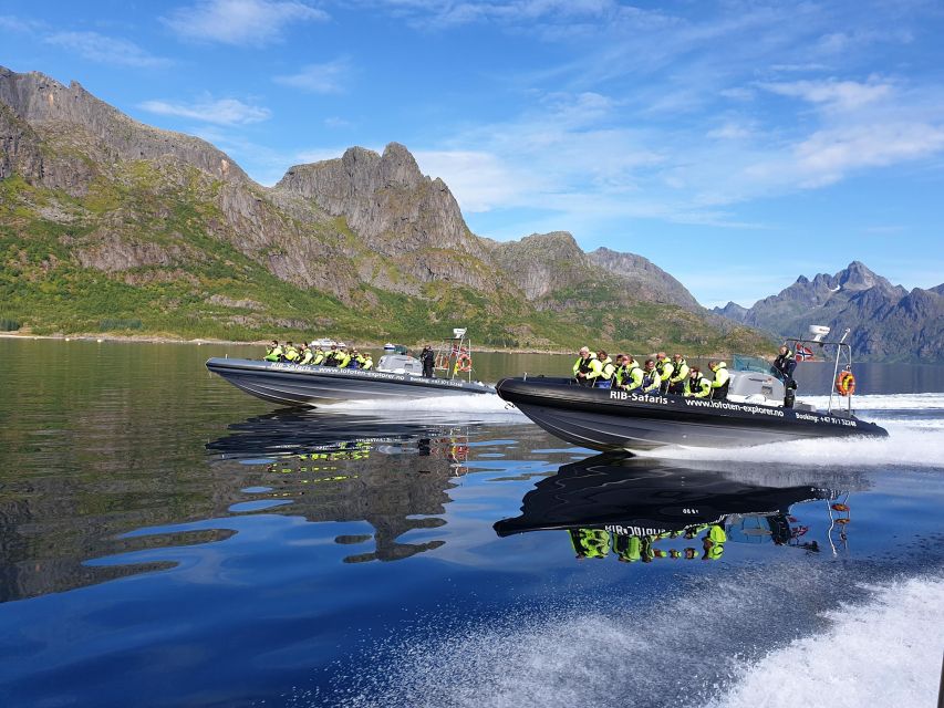 From Svolvaer: Trollfjorden Wildlife RIB Cruise - The approach to dramatic Trollfjord