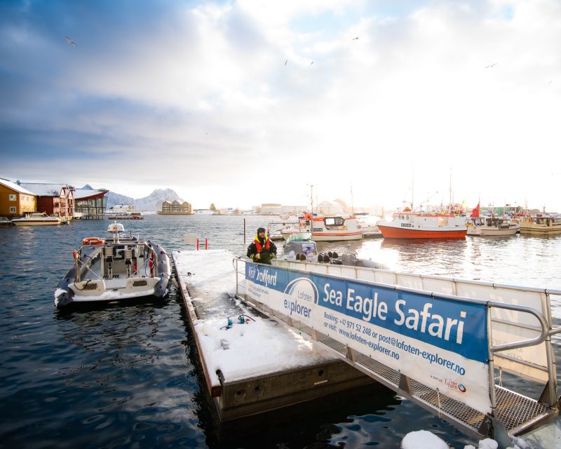 From Svolvaer: Trollfjorden Wildlife RIB Cruise - What the RIB ride feels like