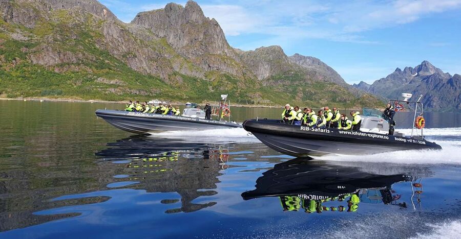 From Svolvaer: Trollfjorden Wildlife RIB Cruise - White-tailed eagles close to the boat