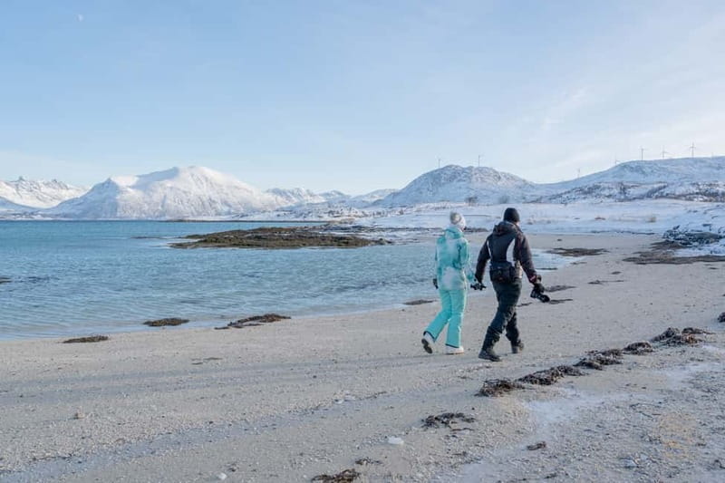 From Tromsø: Arctic Roadtrip: fjords tour with scenic picnic - Guides, driving, and the minibus