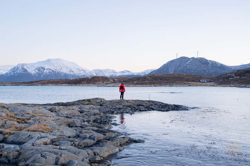 From Tromsø: Arctic Roadtrip: fjords tour with scenic picnic - Is $146 fair for five hours?