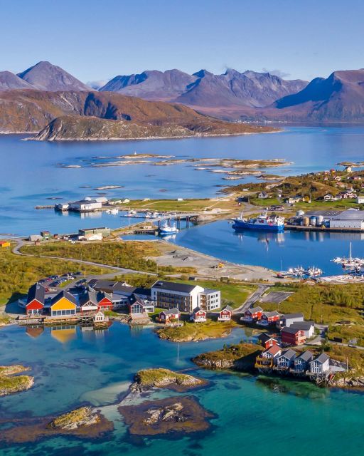 From Tromsø: Arctic Wildlife & Fjord Sightseeing Tour by Car - Sommarøy: Arctic coast and a proper lunch break
