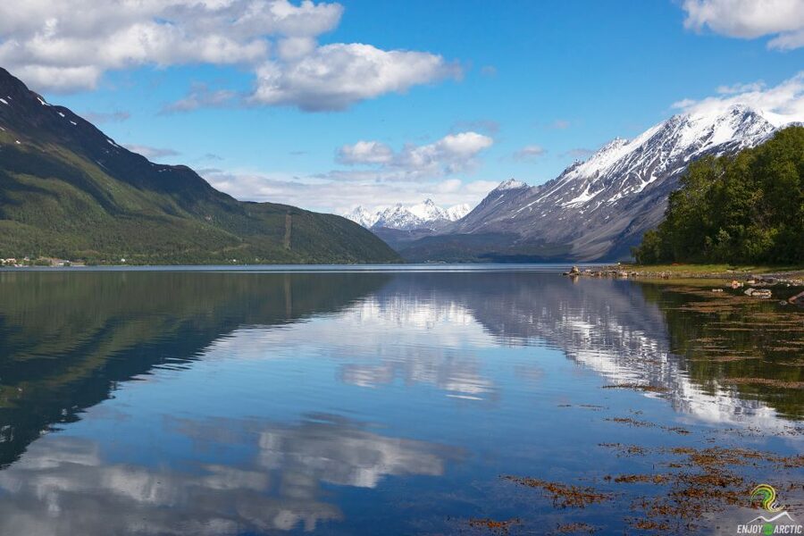 From Tromso: Norwegian Fjords Half-Day Tour - Leaving Tromso for Kvaløya