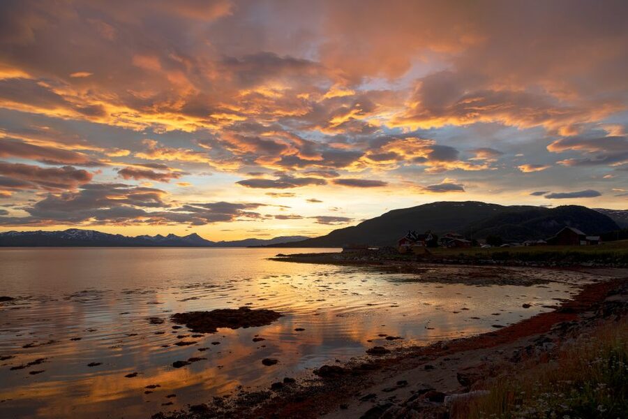 From Tromso: Norwegian Fjords Half-Day Tour - Fjord Viewpoints and Photo Stops