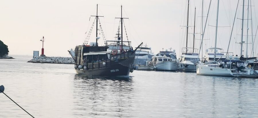 From Vrsar: Boat Trip to Rovinj and Lim Fjord - Pirate’s Cave and the Swimming Question