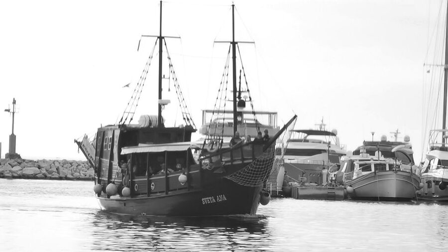 From Vrsar: Boat Trip to Rovinj and Lim Fjord - Who Will Enjoy This Boat Trip Most?