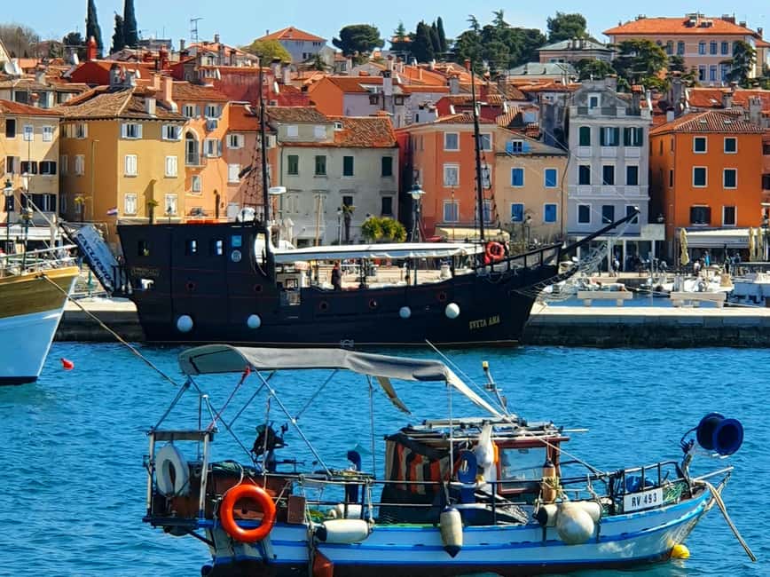 From Vrsar: Boat Trip to Rovinj and Lim Fjord - Should You Book the Vrsar to Rovinj and Lim Fjord Cruise?