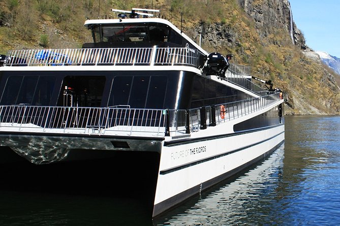 Full Day Guided Roundtrip From Bergen To Sognefjord With Flam Railway - Why this Bergen to Flåm day trip works