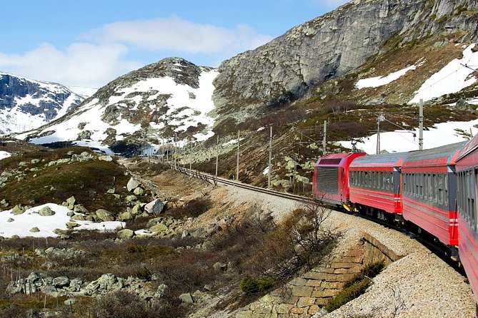 Full Day Guided Roundtrip From Bergen To Sognefjord With Flam Railway - Is $969.60 per person good value?
