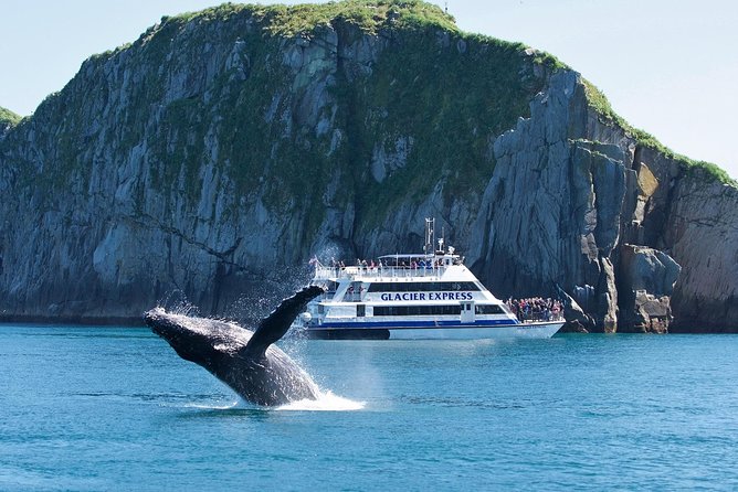 Full-Day Kenai Fjords National Park Cruise - Bear Glacier and the scale of the ice