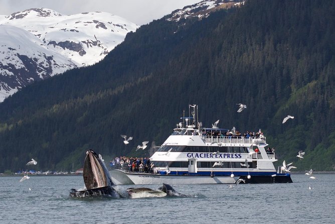 Full-Day Kenai Fjords National Park Cruise - Lunch, seating, and the onboard setup