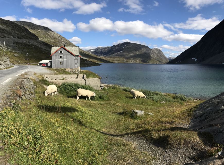 Geiranger: Dalsnibba, Flydalsjuvet, Eagle Bend & Fjords Tour - Guides make the driving time count