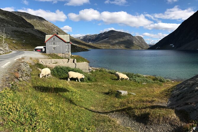 Geiranger: Sky to Fjord Downhill Biking Adventure - Why the unguided format can be a good thing