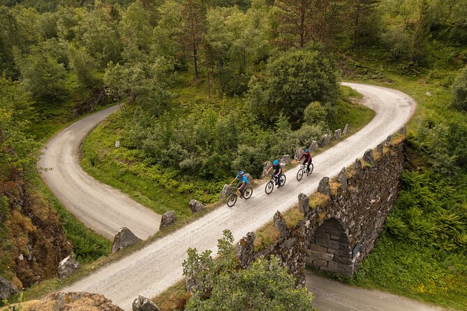 Geiranger: Sky to Fjord Downhill Biking Adventure - What the equipment means for your ride