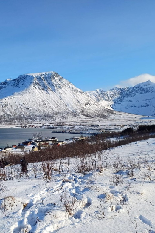 Grøtfjord, Tromsø. Unique Artic scenic route. - Wildlife watching around Tromsø
