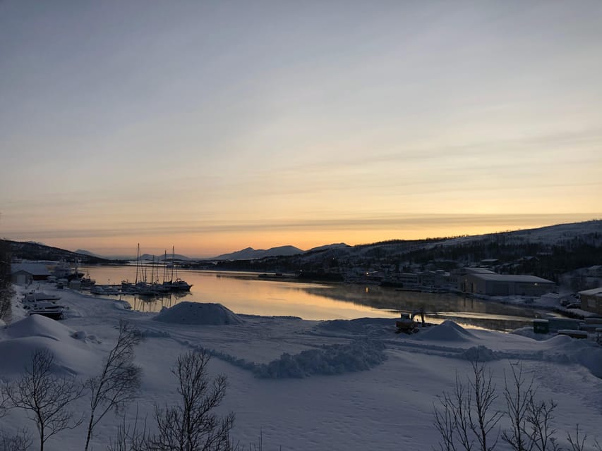 Grøtfjord, Tromsø. Unique Artic scenic route. - Fresh salmon and the supermarket visit