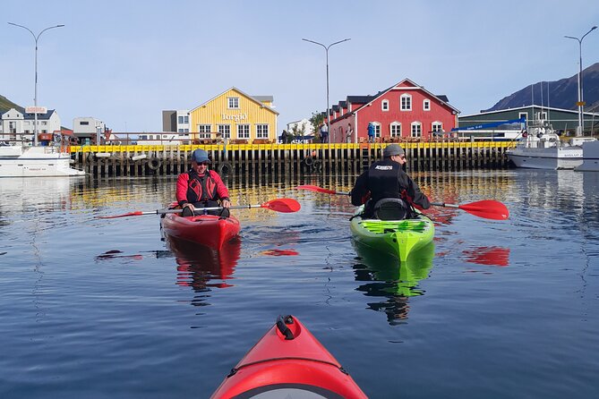 Guided kayak tour in Siglufjörður / Siglufjordur. - Key things to know before paddling out