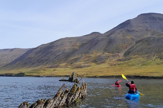 Guided kayak tour in Siglufjörður / Siglufjordur. - Why kayaking Siglufjörður is worth your time