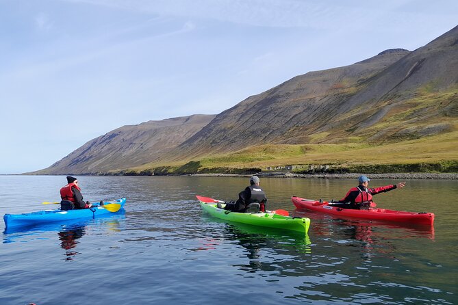 Guided kayak tour in Siglufjörður / Siglufjordur. - Heading toward Selvíkurnef lighthouse
