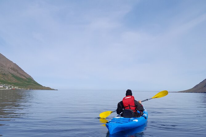 Guided kayak tour in Siglufjörður / Siglufjordur. - What $97.43 buys you
