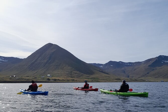 Guided kayak tour in Siglufjörður / Siglufjordur. - Meeting at Siglo Sea Headquarters