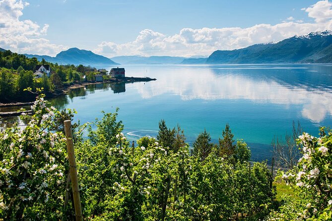 Guided tour - Hardangerfjord, Voss Gondola & 3 Great Waterfalls - A full day from Bergen into fjord country