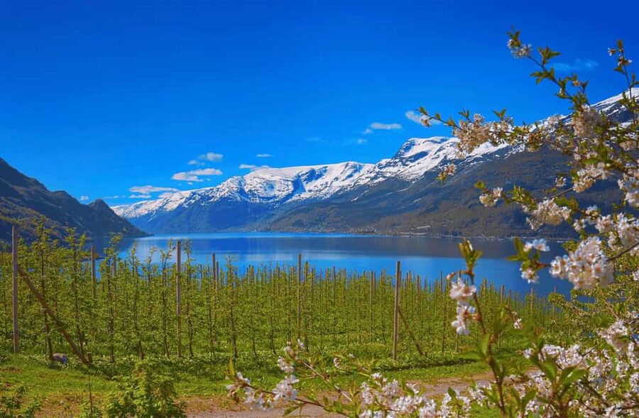 Guided tour: Hardangerfjord, Waterfalls and Ferry crossing - Why this Hardangerfjord day trip works